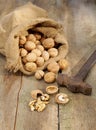 Walnuts in burlap bag on old wood table Royalty Free Stock Photo