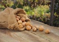 Walnuts in burlap bag on old wood table Royalty Free Stock Photo
