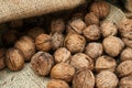 Walnuts in a burlap bag Royalty Free Stock Photo