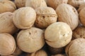 Walnuts close-up, background texture, natural food in-shell walnuts Royalty Free Stock Photo