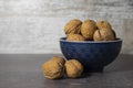 Walnuts close-up on a gray wooden background in a blue plate. Vitamin-rich nuts on the table. Royalty Free Stock Photo