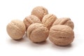 Walnuts close-up, isolated on white background Royalty Free Stock Photo