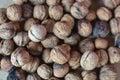 Walnuts Royalty Free Stock Photo