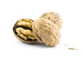 Walnuts - close up shot cracked in two pieces on a white background Royalty Free Stock Photo