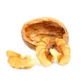 Walnuts closeup isolated on white