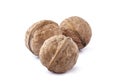 Walnuts in closeup  on white background Royalty Free Stock Photo