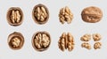 Walnuts Collection Isolated on Transparent Background Royalty Free Stock Photo