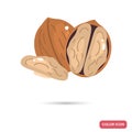 Walnuts color flat icon