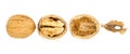 Walnuts, cracked walnut and walnut partition isolated on white background Royalty Free Stock Photo