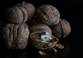 Walnuts on a dark black background Royalty Free Stock Photo