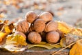 Walnuts and fallen walnut leaves on an old rustic wooden table