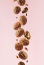 Walnuts falling. Pink pastel background. Minimum pattern Royalty Free Stock Photo