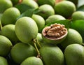 Walnuts in green husks, close up Royalty Free Stock Photo
