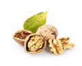 Walnuts and green leaf on a white background Royalty Free Stock Photo