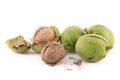 Walnuts in green peel and walnuts in shell on white background