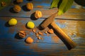Walnuts and hammer on the table Royalty Free Stock Photo