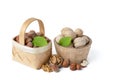 Walnuts and hazelnuts of different varieties lie in wooden saucers and baskets on a white isolated background. Nearby Royalty Free Stock Photo