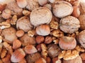 Walnuts and hazelnuts closeup