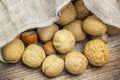Walnuts with hazelnuts in linen bag on table Royalty Free Stock Photo