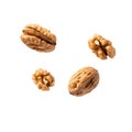 Walnuts. Healthy Snack And Nutritional Benefits Isolated On Transparent Background Royalty Free Stock Photo