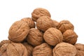 Walnuts heap macro isolated on white background. Pile nuts closeup for your design. Nuts collection