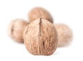 Walnuts isolated Royalty Free Stock Photo