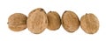 Walnuts isolated on white background Royalty Free Stock Photo