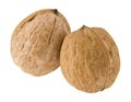 Walnuts isolated on white background Royalty Free Stock Photo