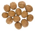 Walnuts isolated on white background Royalty Free Stock Photo