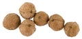 Walnuts isolated on white background Royalty Free Stock Photo