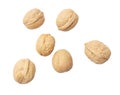 Walnuts isolated white background Royalty Free Stock Photo