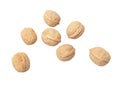 Walnuts isolated white background Royalty Free Stock Photo