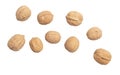 Walnuts isolated white background Royalty Free Stock Photo