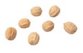 Walnuts isolated white background Royalty Free Stock Photo