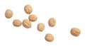 Walnuts isolated white background Royalty Free Stock Photo