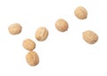 Walnuts isolated white background Royalty Free Stock Photo