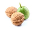 Walnuts isolated white background Royalty Free Stock Photo