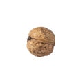 Closeup Walnuts isolated on white background. Side view