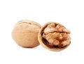 Walnuts isolated on a white background. Half and whole walnut. Close up. Macro. Royalty Free Stock Photo