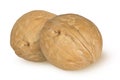 Walnuts on an isolated white background. Royalty Free Stock Photo