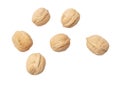 Walnuts isolated white background Royalty Free Stock Photo