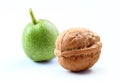 Walnuts isolated white background Royalty Free Stock Photo