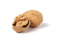 Walnuts isolated on white. Walnut in a nutshell Royalty Free Stock Photo