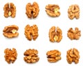 Walnuts kernels collection isolated on white background Royalty Free Stock Photo