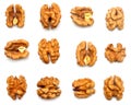 Walnuts kernels collection isolated on white background Royalty Free Stock Photo