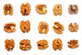 Walnuts kernels collection isolated on white background Royalty Free Stock Photo