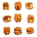 Walnuts kernels collection isolated on white background Royalty Free Stock Photo