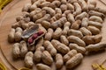 Walnuts kernels on dark desk background, Whole walnut in wood vintage bowl, Nuts in bamboo wooden bowl, walnuts in wood