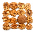 Walnuts kernels and whole collection isolated on white background Royalty Free Stock Photo