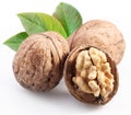 Walnuts with leaf. Royalty Free Stock Photo